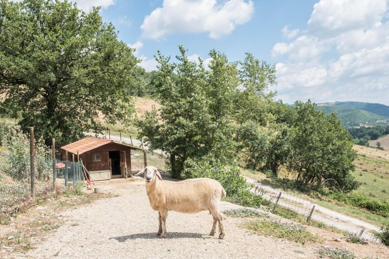 Agriturismo Goccia Di Luna Umbertide Ngoại thất bức ảnh