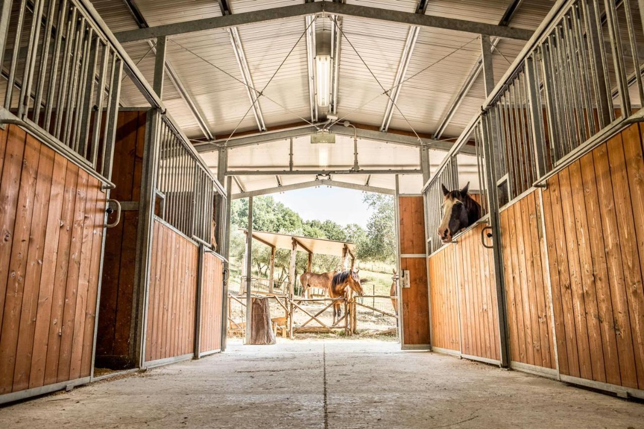 Agriturismo Goccia Di Luna Umbertide Ngoại thất bức ảnh